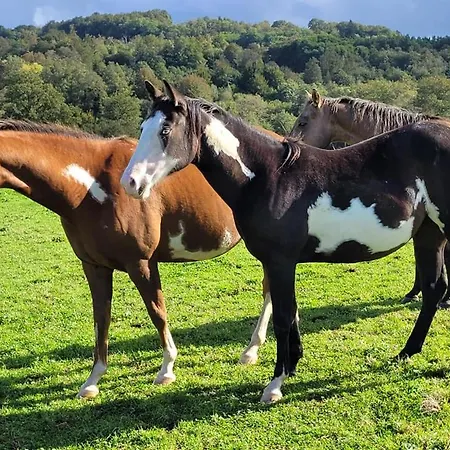 Camping Roulotte A Sapharey Sarrazac (Dordogne)