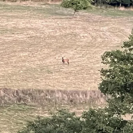 Roulotte A Sapharey Camping