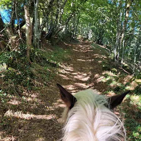 مكان تخييم Roulotte A Sapharey *