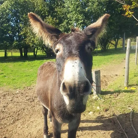 Roulotte A Sapharey *