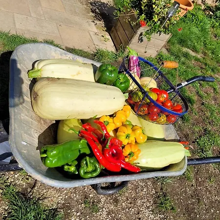 Roulotte A Sapharey Camping Sarrazac (Dordogne)