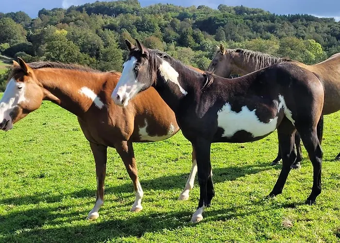 Camping Roulotte A Sapharey Sarrazac (Dordogne)