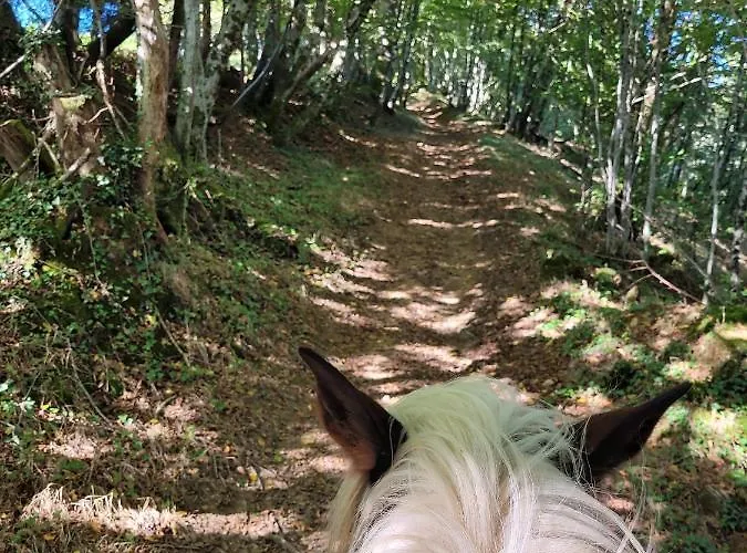 Camping Roulotte A Sapharey *