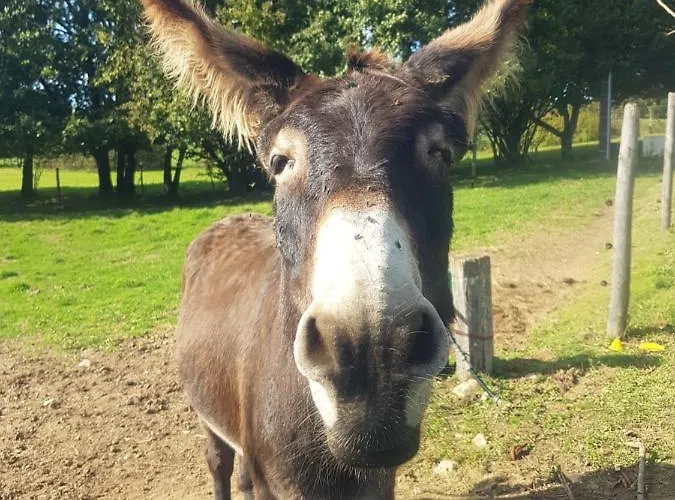 Roulotte A Sapharey *