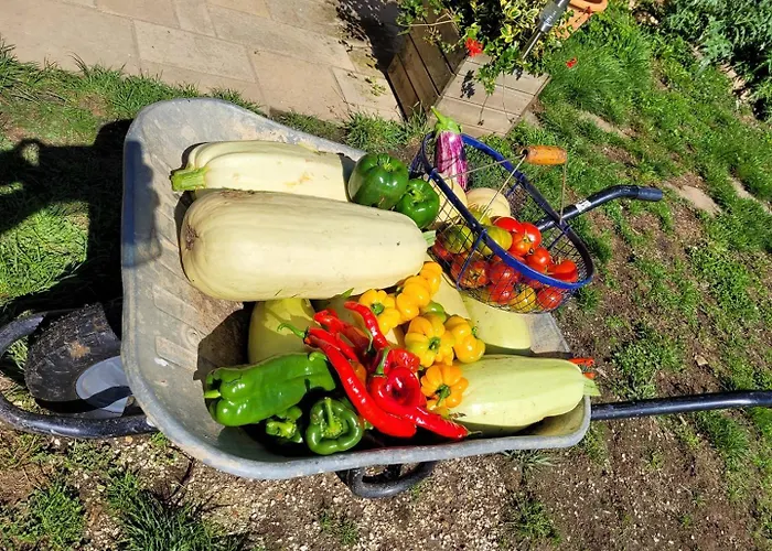 Roulotte A Sapharey Camping Sarrazac (Dordogne)